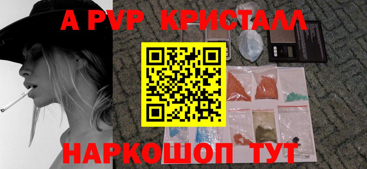 Alfa_PVP СК Кондопога