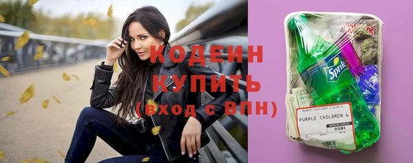 прущие грибы Няндома