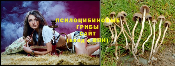 гашик Остров