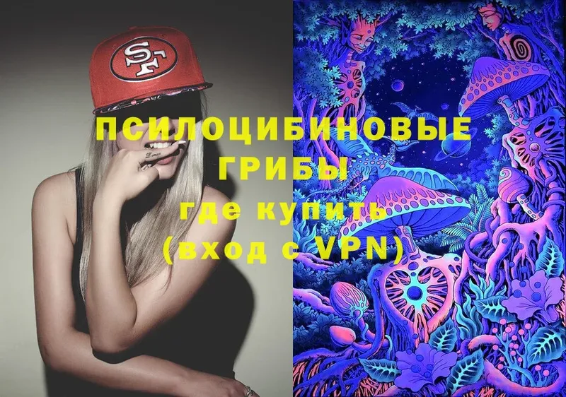 ОМГ ОМГ вход  Кондопога  Галлюциногенные грибы Psilocybine cubensis 