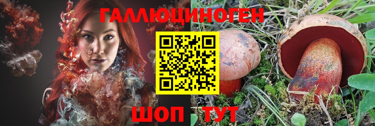 Псилоцибиновые грибы ЛСД Кондопога