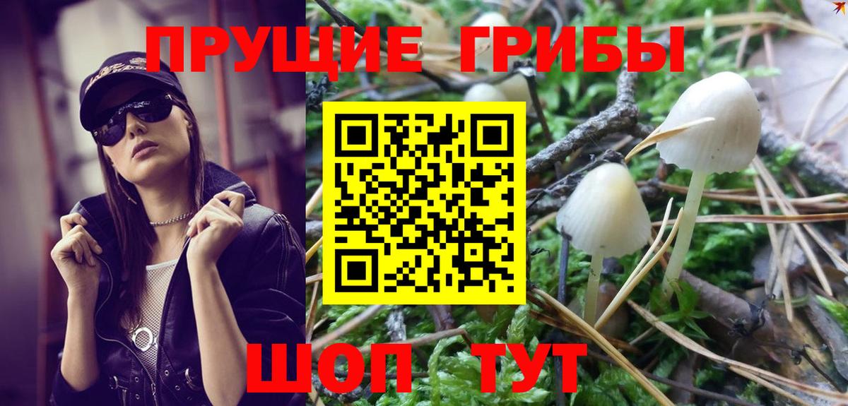 Кондопога  Псилоцибиновые грибы Magic Shrooms  Вход с VPN 