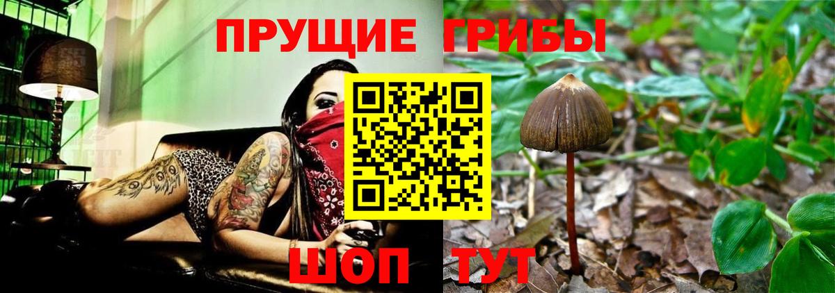 Гашиш Кондопога