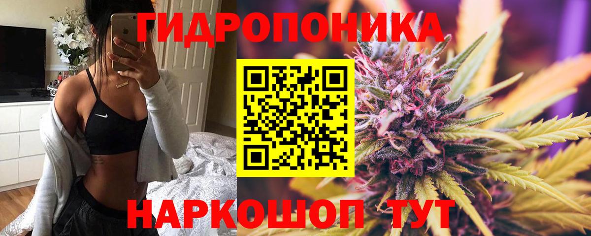 Марихуана планчик  Бошки Шишки Ganja  Бошки марихуана VHQ  Вход с VPN  Кондопога 